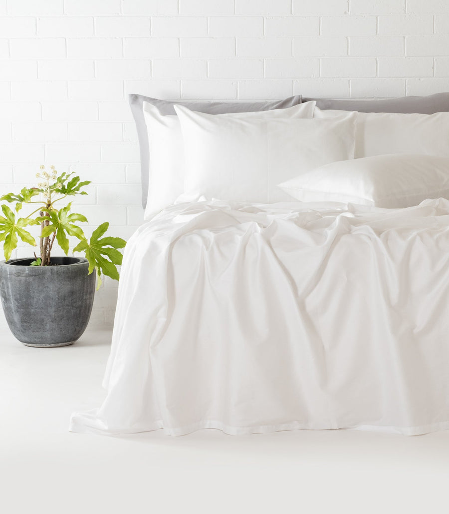 Super King Size Bedsheet - Epitome Signature Cotton - 1000 Thread Count