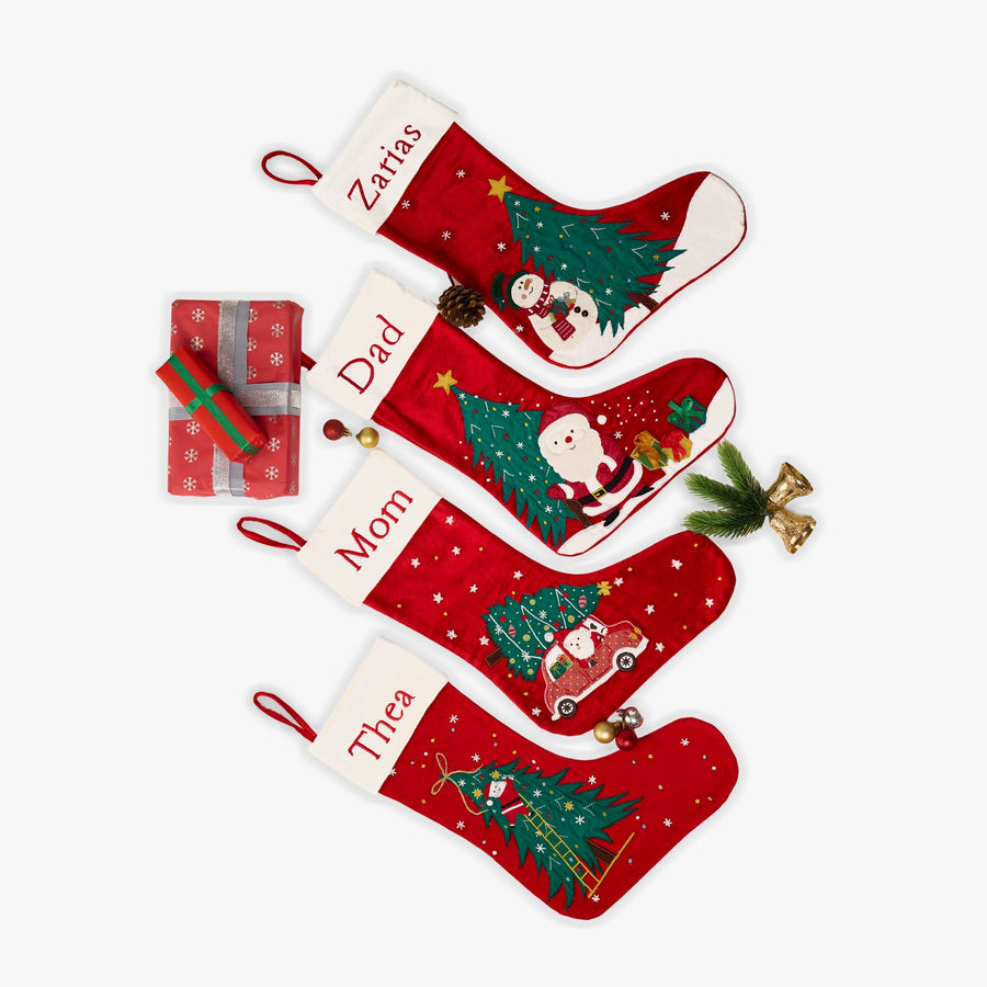 Santa In Car Stocking